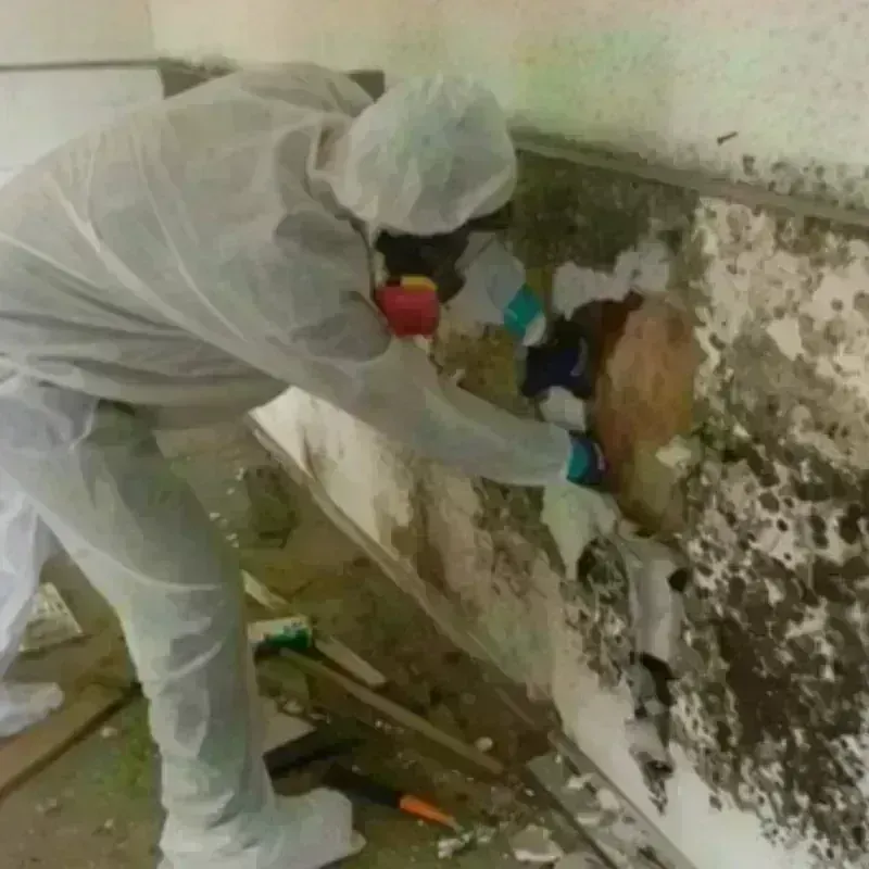 Mold Remediation and Removal in Caln, PA